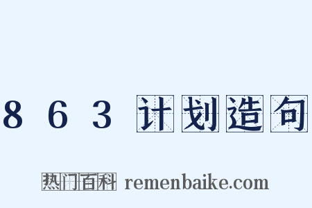 863计划造句是什么意思的图片
